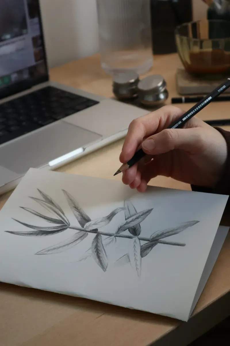 Estudio Trazo Nativo 2