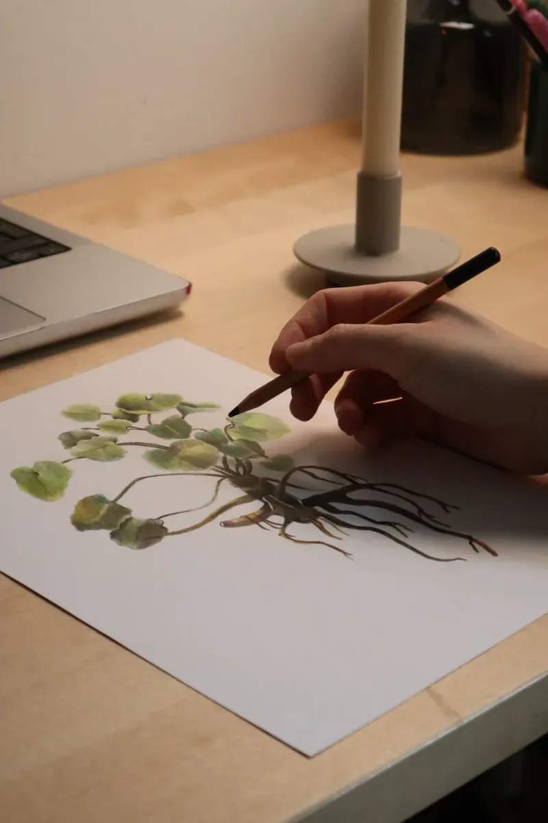 Talleres de ilustración tradicional con lápiz, tinta y carboncillo